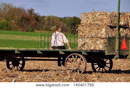 Lancaster County Pennsylvania - October 15 2015: Amish youth sitting on a wagon takes a break from baling hay