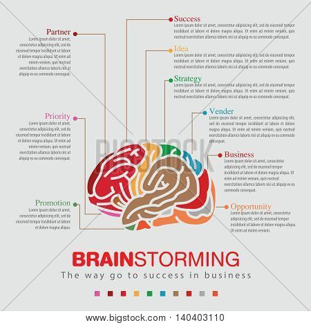 Infographic of business go to success with Brainstorming sprit color.