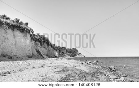 Wooded Cliff at the beach on Hiddensee Island Germany black and white