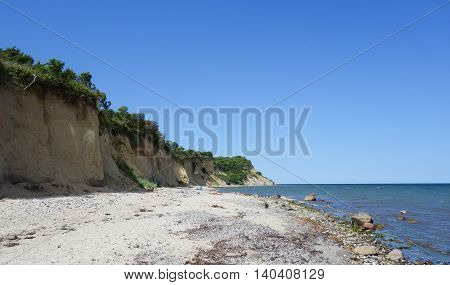 Wooded Cliff at the beach on Hiddensee Island Germany