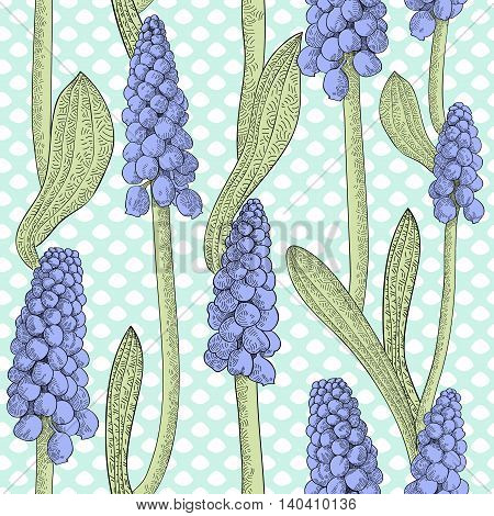 Seamless pattern with grape hyacinth, or muskari, on blue uneven dotted background. Vector illustration.