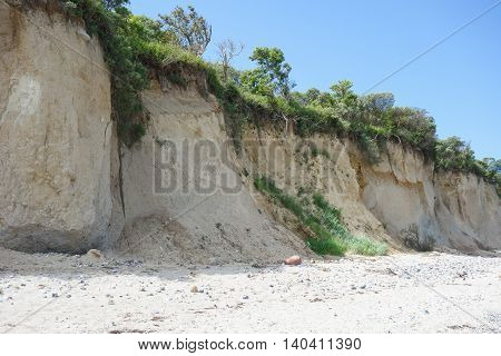 Wooded Cliff at the beach on Hiddensee Island Germany