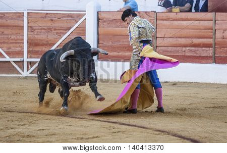 Sabiote SPAIN September 9 2011: The Spanish Bullfighter Francico Rivera bullfighting with the crutch in the Bullring of Sabiote Spain