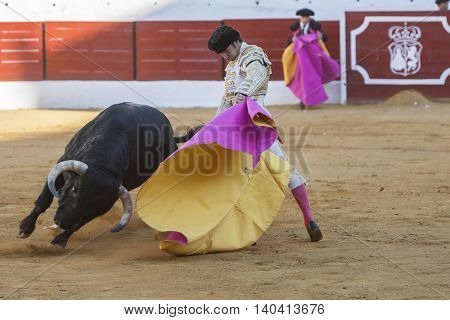 Sabiote SPAIN - September 9 2011: The Spanish Bullfighter Cayetano Rivera greeting the public with its cap in the hand in gratitude to its bullfight in the Bullring of Jaen Spain