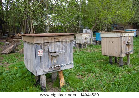Apiary