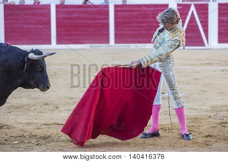 Sabiote Spain - August 23 2014: The Spanish Bullfighter Manuel Escribano bullfighting with the crutch in the Bullring of Sabiote Spain