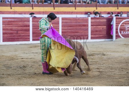 Sabiote Spain - August 23 2014: The Spanish Bullfighter Adrian de Torres bullfighting with the crutch in the Bullring of Sabiote Spain