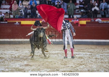 Jaen SPAIN - October 18 2008: The Spanish Bullfighter Manuel Jesus El Cid during a rainy afternoon bullfighting with the crutch in the Bullring of Jaen Spain