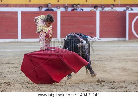 Sabiote SPAIN August 26 2011: The Spanish Bullfighter Miguel Tendero bullfighting with the crutch in the Bullring of Sabiote Spain