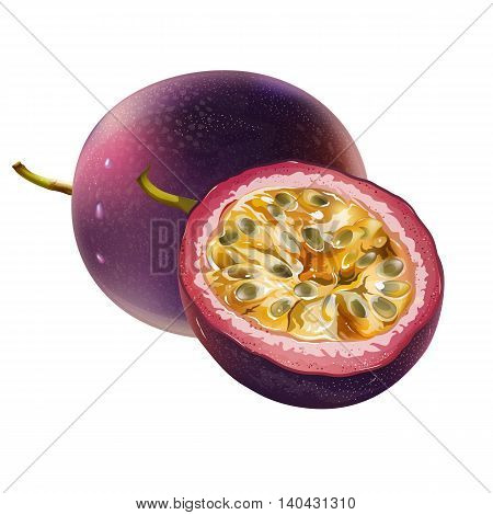 Passionfruit and his sliced segment. Isolated illustration on white background.