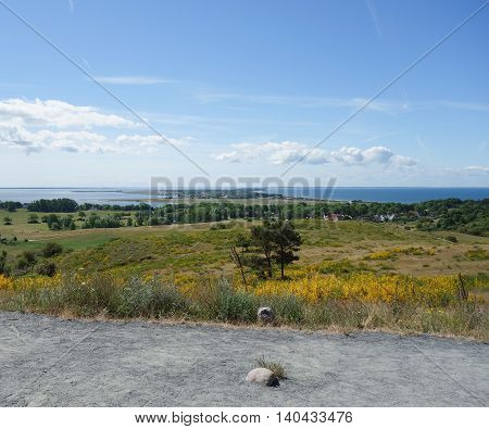 Grass and Sea: Landscape of Hiddensee island Germany