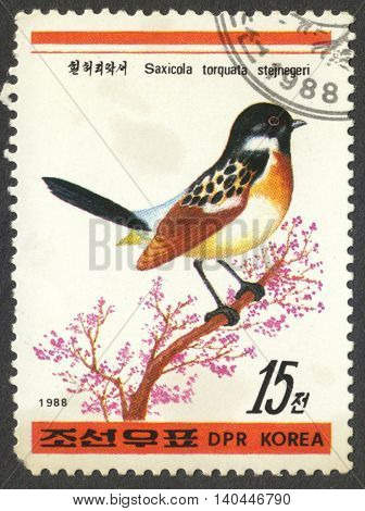MOSCOW RUSSIA - CIRCA APRIL 2016: a post stamp printed in the NORTH KOREA shows a bird Saxicola torquata stejnegeri the series 