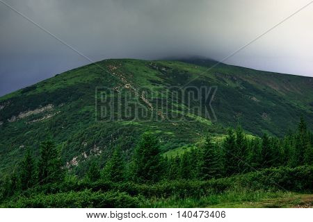Amazing summer view on different trees in cloudy mountains. Blue and grey sky above wooded hills on background. Carpathians, Hoverla, UA