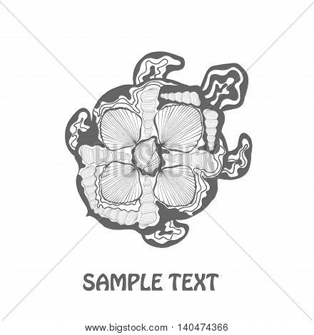 decorative   with beautiful ornament on the shell of a turtle on a white background