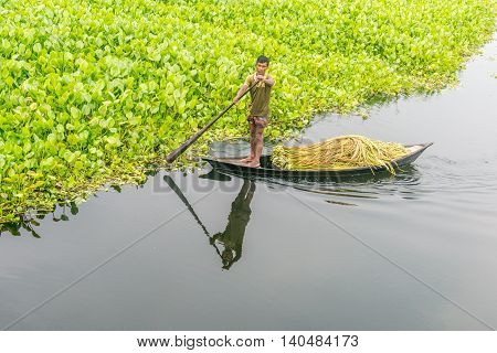 Farmer Is Picking Water Lily