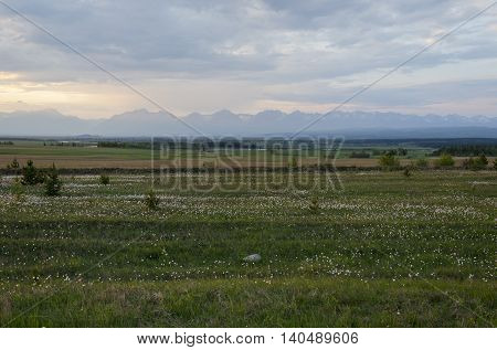 Summer meadow at sunset. Tunkinskaya valley, foothills of Sayan, Buryatia