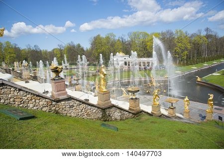 SAINT PETERSBURG, PETERGOF, RUSSIA - May 9, 2015: Fountains of Lower Gardens, Sea Canal in Peterhof, near Saint Petersburg. Fountains of Peterhof are one of Russia's most famous tourist attractions