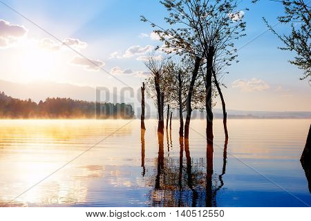 beautiful lake view in morning fog with mystic mountains and trees as leftovers of a mole in gold, purple - blue tones