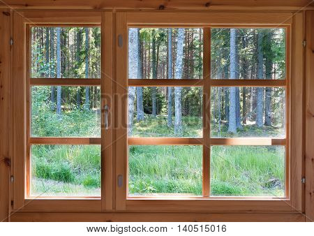 Green sunny view of summer woods in the wooden country window