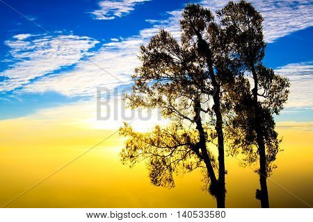 Beautiful and famous travel location The landscape photo beautiful sea fog in morning time at Phu Tub Berk Viewpoint Phu Hin Rong Kla National Park in Thailand