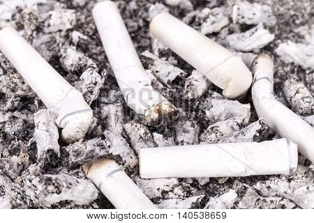 some cigarette butts and ash close up.