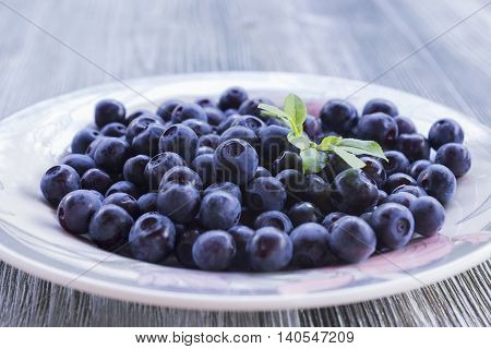 Close up photo of blueberries on the plate. Fresh ripe juicy bilberries bright autumn colorful background. Concept for healthy diet with berries. Selective Soft focus