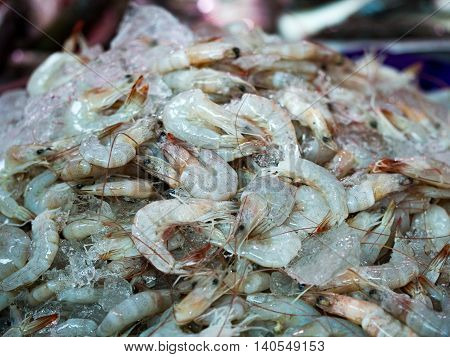 Fresh raw shrimps seafood freeze in ice for sale in local market thailand.