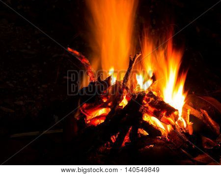 Bonfire burning firewood in fire from night camp in the forest. Flame from bonfire making warm in winter.