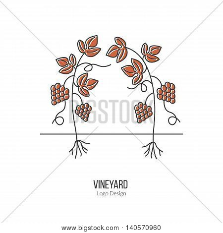 Growing grapes. Single logo in modern flat and thin line style isolated on white background. Outline winery symbol. Simple mono linear pictogram. Stroke vector logotype template.