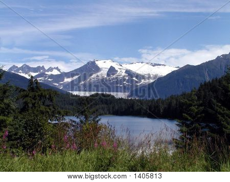 Mendenhall Glacer