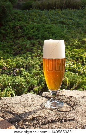 Glass of beer on a stone wall. Garden party. Beer in light of sunset. Family garden party.