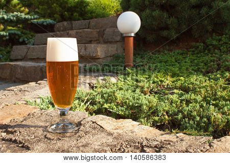 Glass of beer on a stone wall. Garden party. Beer in light of sunset. Family garden party.