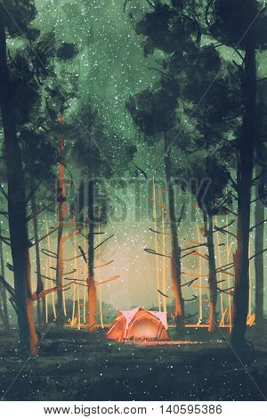 camping in forest at night with stars and fireflies, illustration digital painting