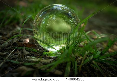 Magic crystal ball on forest floor for summer fantasy imagery