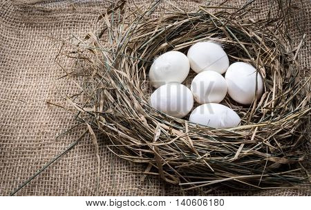 White chicken eggs in straw nest. Hen eggs in hay on sackcloth background