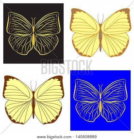 yellow butterfly stylized consisting of contour and color