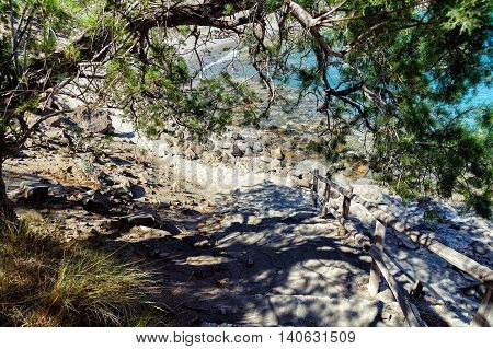 Road through trees to beach of Aghios Povlos town on Crete island, Greece