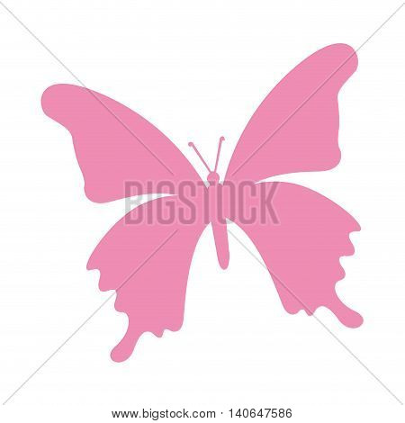butterfly pink silhouette icon vector isolated graphic