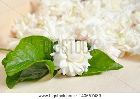 Flower Background Of Jasmine Flowers Spread On Wood Background