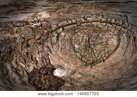 It is a wood crust, good for a background image