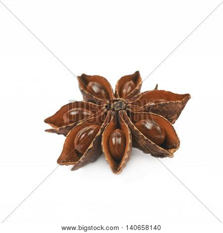 Single Chinese star anise seed isolated over the white background