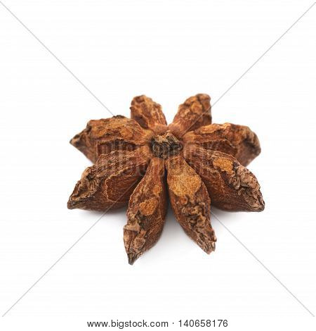 Single Chinese star anise seed isolated over the white background