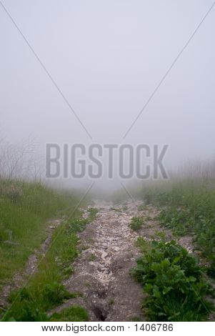 Into The Void