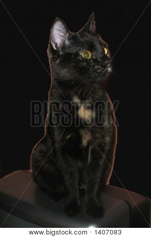 Kat 3