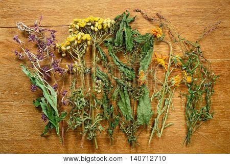 Dried herbs for use in alternative medicine.Herbal medicine phytotherapy medicinal herbs.For preparation of infusions decoctions tinctures powders ointments tea. Background wooden board