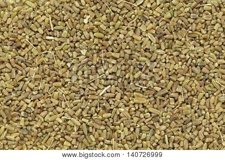 Organic fennel (Foeniculum vulgare) in tea cut size. Macro close up background texture. Top view.