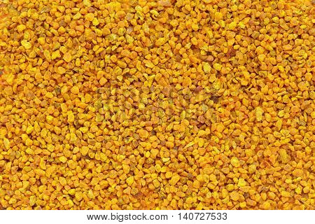 Organic Turmeric or Haldi (Curcuma longa) in tea cut size. Macro close up background texture. Top view.