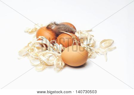Brown Domestic Eggs With Excelsior