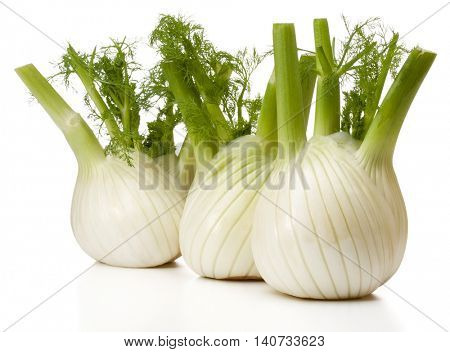 Fresh fennel bulb isolated on white background close up