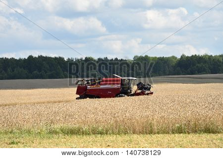Harvesting Of Wheat. Russia